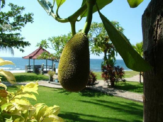 woningaanbod indonesië bali