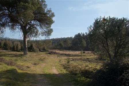 Portugal - Coimbra - Tbua