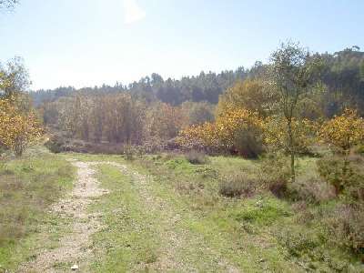 Portugal ~ Zilverkust (Prata) ~ Coimbra ~ Tbua - Grond