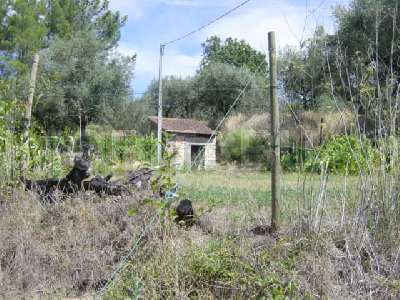 Bouwgrond te koop in Portugal - Coimbra - Tbua -  45.000