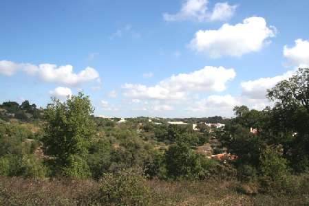 Portugal ~ Algarve (Midden) - Faro ~ So Brs de Alportel - Bouwgrond