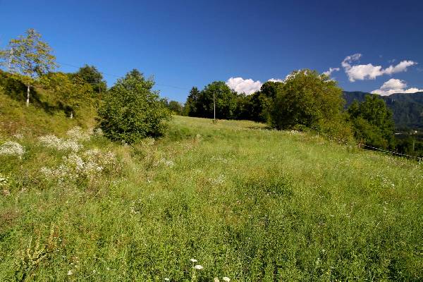 Oostenrijk - Karinthi - Obernarrach