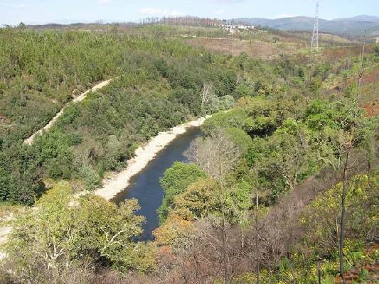 Portugal ~ Zilverkust (Prata) ~ Coimbra ~ Arganil - Grond