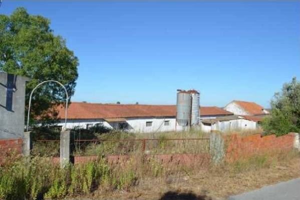 Portugal - Santarm - Santarm - Vale de Santarm