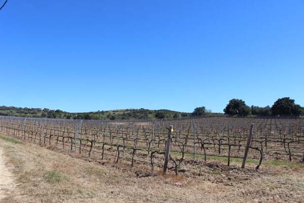 Portugal - Beja - Vidigueira