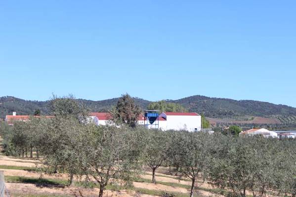 Portugal - Beja - Vidigueira