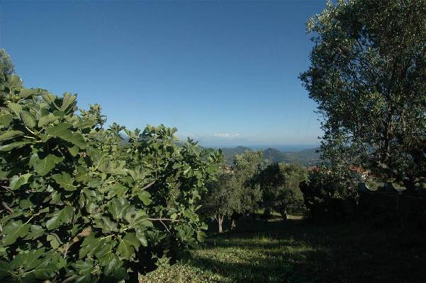 Itali - Campani - Torre Orsaia