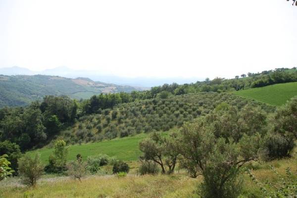 Itali�&nbsp;-&nbsp;Marken&nbsp;/&nbsp;Marche&nbsp;-&nbsp;Penna&nbsp;San&nbsp;Giovanni