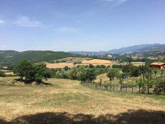 Italy ~ Tuscany - Building plot