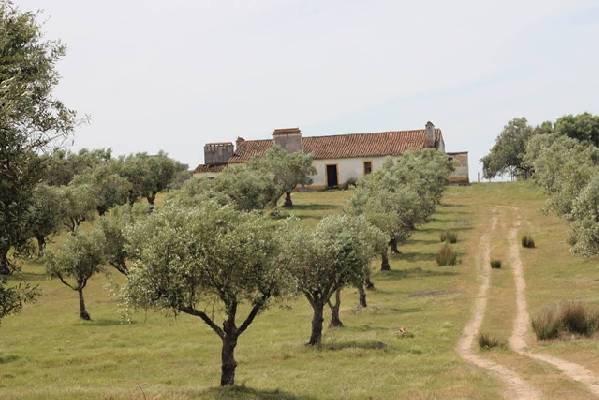 Portugal ~ Alentejo ~ Beja ~ Vidigueira - Renovatie-object