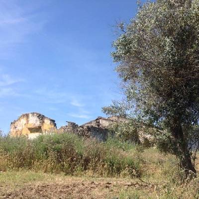 Bouwgrond te koop in Portugal - Beja - Beja - Baleizo -  74.000