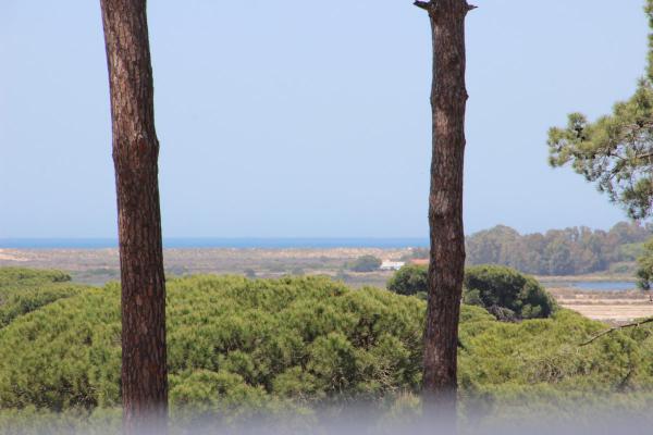 Portugal ~ Algarve - Faro ~ Faro - Project