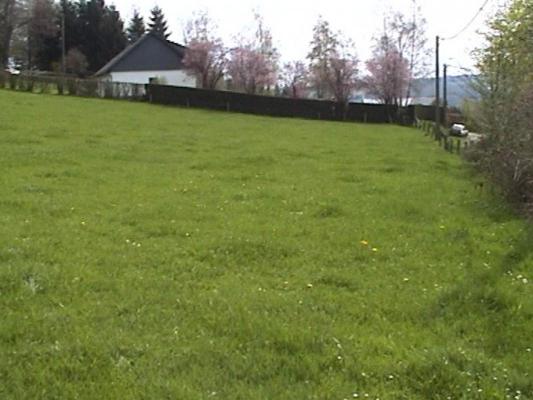 Belgi� ~ Walloni� ~ Prov. Luik / Eifel - Bouwgrond