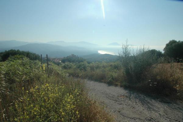 Itali� ~ Campani� - Bouwgrond