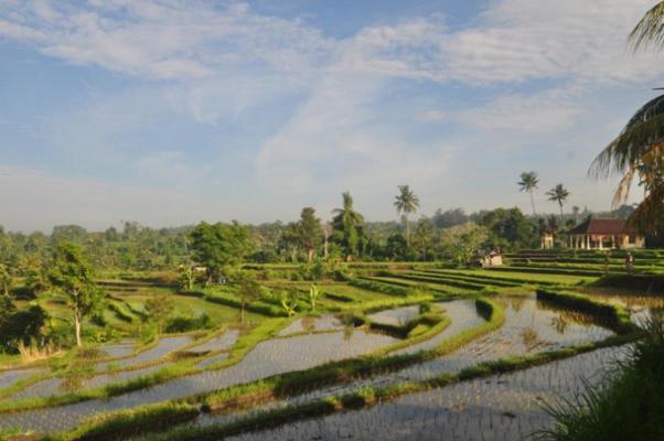 Indonesi - Bali - Semapura