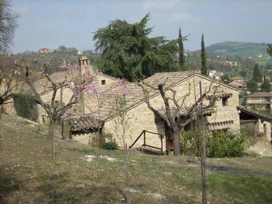 (Woon)boerderij te koop in Itali - Marken / Marche - Falerone -  499.000
