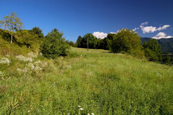 Oostenrijk - Karinthi - Obernarrach