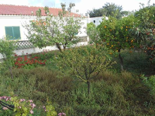 (Woon)boerderij te koop in Portugal - Algarve - Faro - Albufeira - Ferreiras - € 600.000