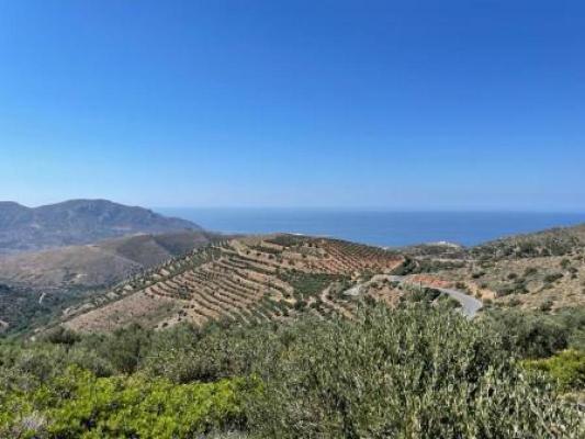 Grond te koop in Griekenland - Kreta - Pefki -  70.000