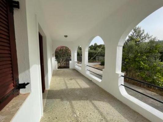 Griekenland - Kreta - Pachia Ammos