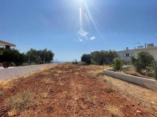 Grond te koop in Griekenland - Kreta - Makrigialos -  75.000