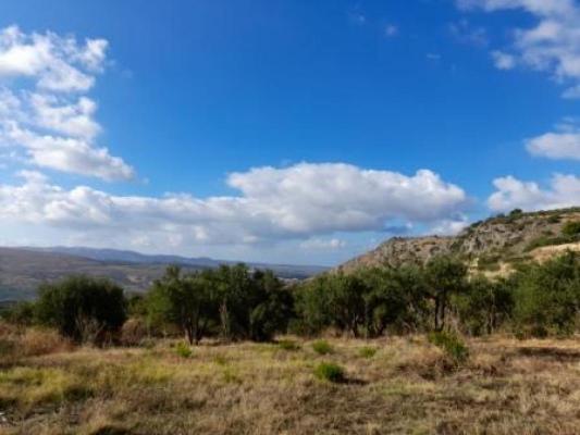 Griekenland ~ Kreta - Grond