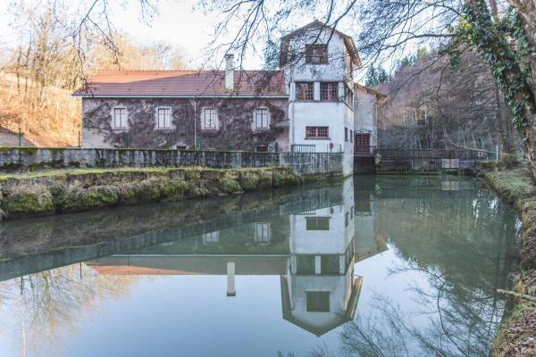 Watermolen te koop in Frankrijk - Lorraine - Vosges - Viviers-le-Gras - € 420.000