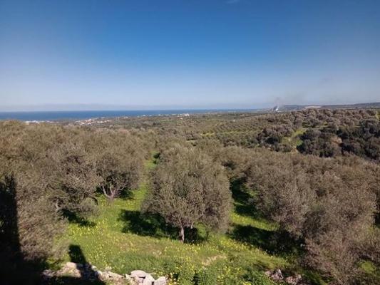 Bouwgrond te koop in Griekenland - Kreta - Rethymno -  280.000