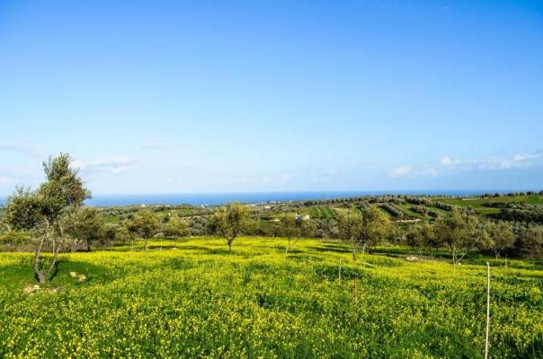 Bouwgrond te koop in Griekenland - Kreta - Rethymno -  150.000