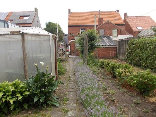 Belgi - Vlaanderen - Antwerpen - Hoogstraten