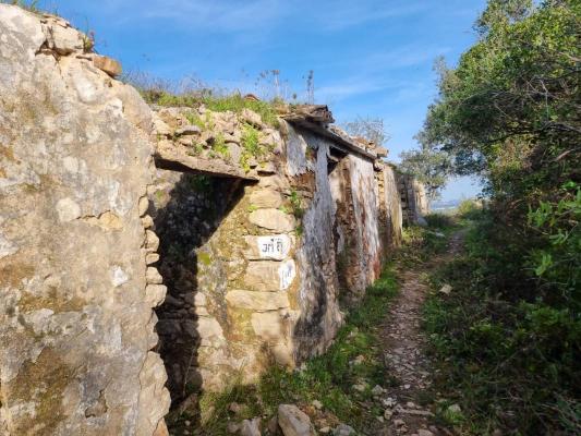 Portugal ~ Algarve (Midden) - Faro ~ So Brs de Alportel - Bouwgrond