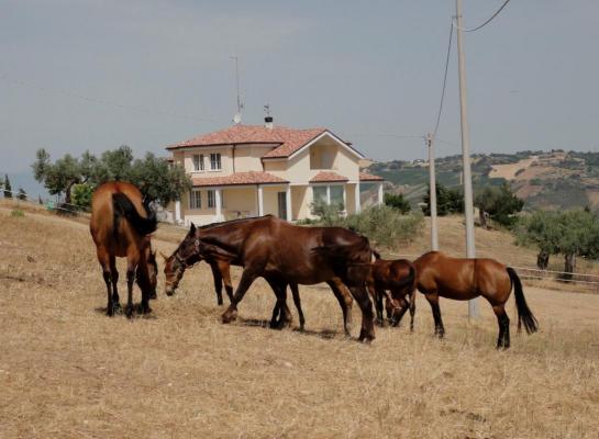 Itali ~ Abruzzen / Abruzzo - Villa