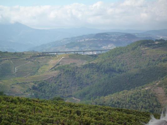 Portugal - Vila Real - Peso da Rgua - Galafura