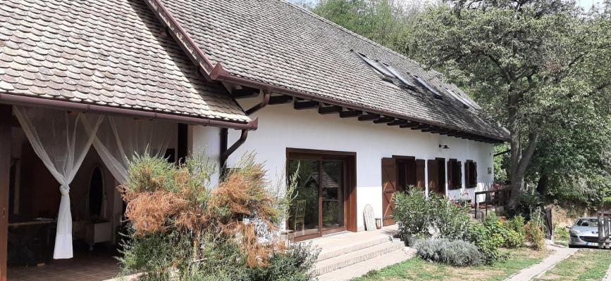 Hongarije - Pannonia (West) - Tolna (Szekszrd) - Szlka