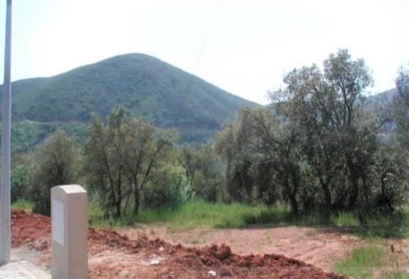 Portugal - Algarve - Faro - Silves