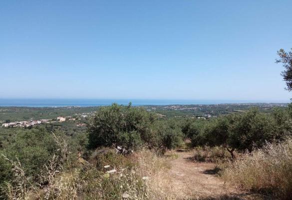 Griekenland ~ Kreta - Grond