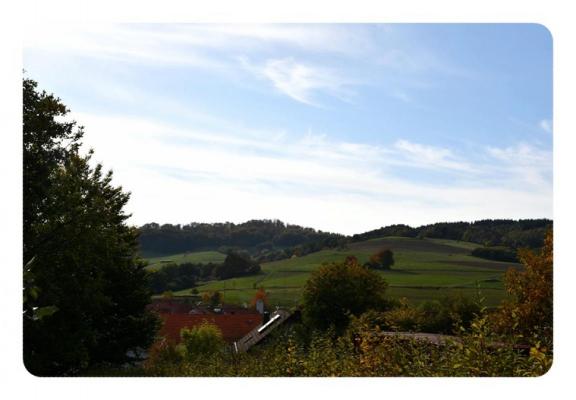 Duitsland - Hessen - Sauerland - Frankenau