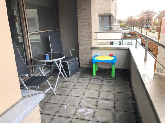 Belgi - Vlaanderen - Antwerpen - Hoogstraten