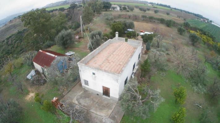 Itali ~ Basilicata - Landbouw-object