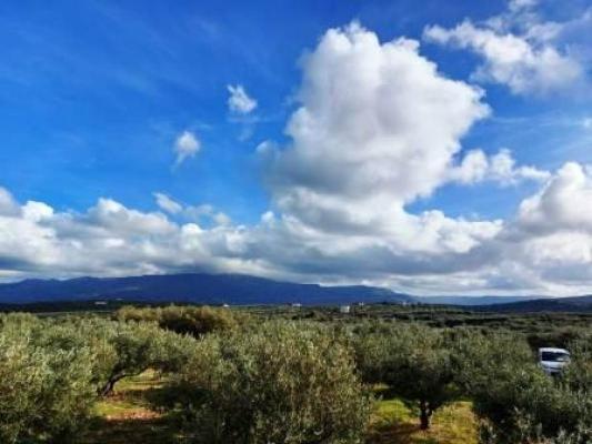 Griechenland ~ Crete (Kreta) - Terrain