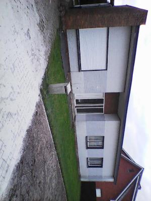 Belgi ~ Vlaanderen ~ Antwerpen - Bungalow