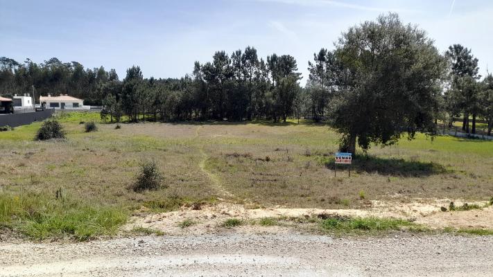 Portugal ~ Zilverkust (Prata) ~ Leiria ~ Leiria - Grond