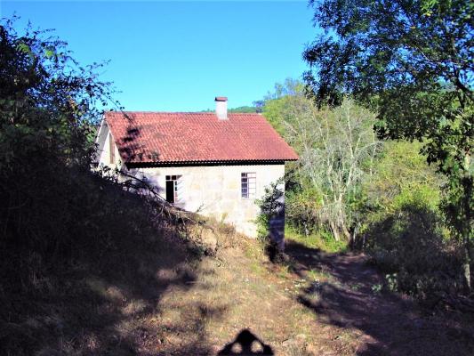 Overige te koop in Portugal - Viseu - Mangualde -  89.000