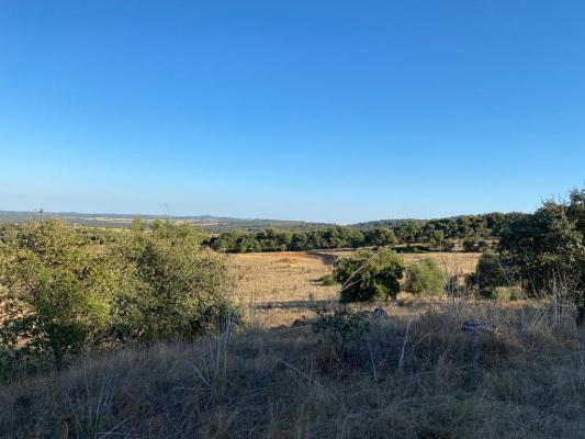 Portugal - vora - Estremoz - Estremoz (Santa Maria)