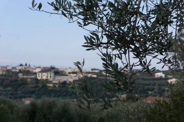 Griechenland ~ Crete (Kreta) - Terrain