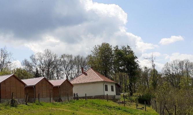 Hungary ~ Pannonia (West) ~ Zala (Zalaegerszeg) - Farm house
