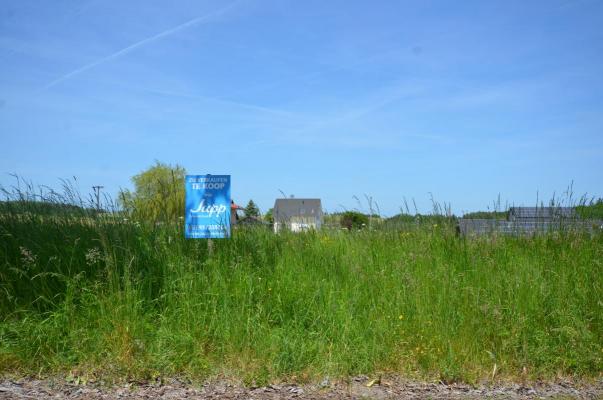 Duitsland ~ Rheinland-Pfalz ~ Eifel - Bouwgrond