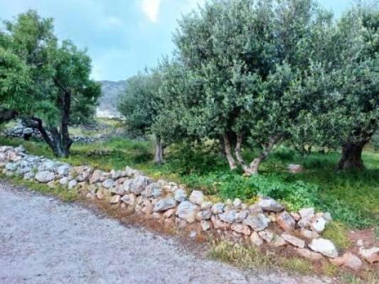 Bouwgrond te koop in Griekenland - Kreta - Zakros -  28.000