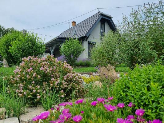 Hongarije ~ Pannonia (West) ~ Baranya (Pcs) - Vakantiehuis