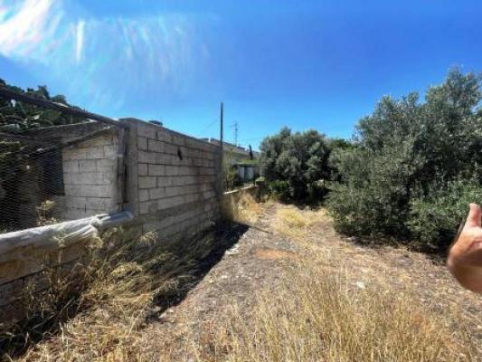 Bouwgrond te koop in Griekenland - Kreta - Ierapetra -  150.000